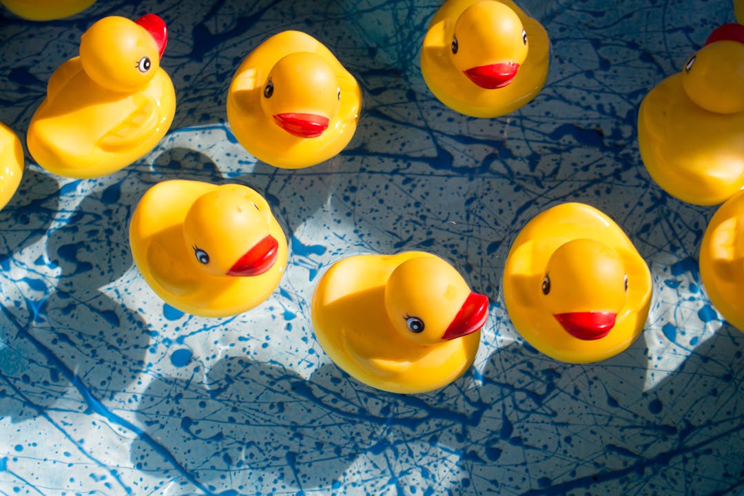 Close up yellow rubber ducks in a blue small pool of water. Taken from Jason Richard on Unsplash.